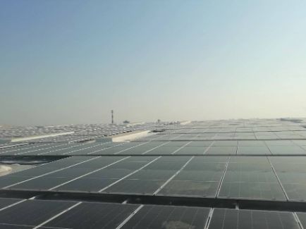 新利体育luck18·(中国)官方网站