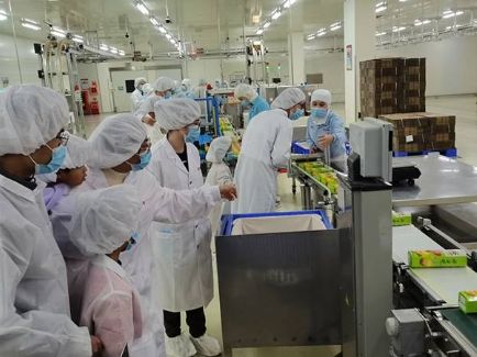 新利体育luck18·(中国)官方网站